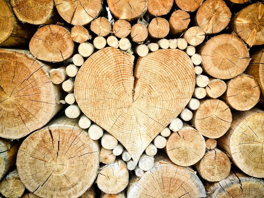 Bestes Brennholz – welches Holz ist am besten für den Kamin geeignet?