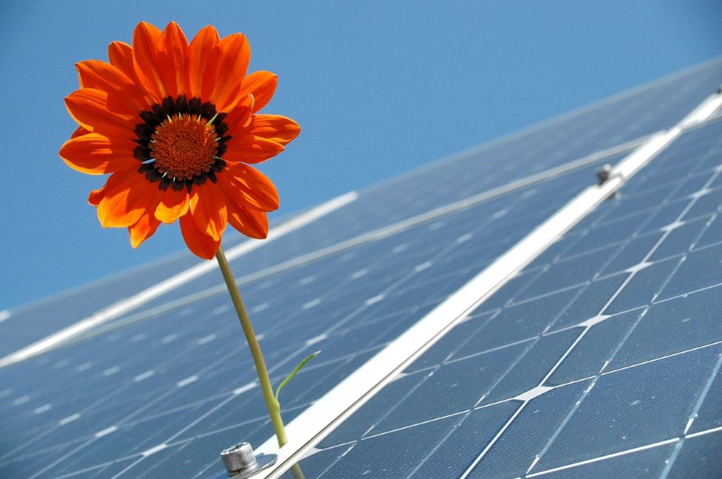 Solarpflicht in Deutschland und ihre Einführung 2022