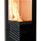 Kaminofen Coral 2 Luftheizer 6 kW Edilkamin Warmluftofen