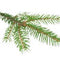 Sentiotec Dampfbadduft Fichtennadel | A-120-FN | 5 l