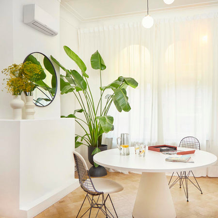 Ambientebild: Daikin Sensira Wandgeraet hoch an weisser Wand in hellem Raum mit runder Tafel, Pflanzen und Stuehlen platziert | Klimaworld.com
