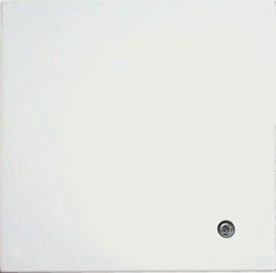 Raumfühler RC20