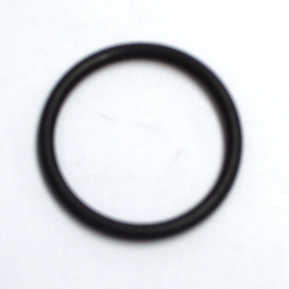 rx_o-ring_groß