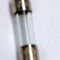 RX Sicherung F1 3.15AT