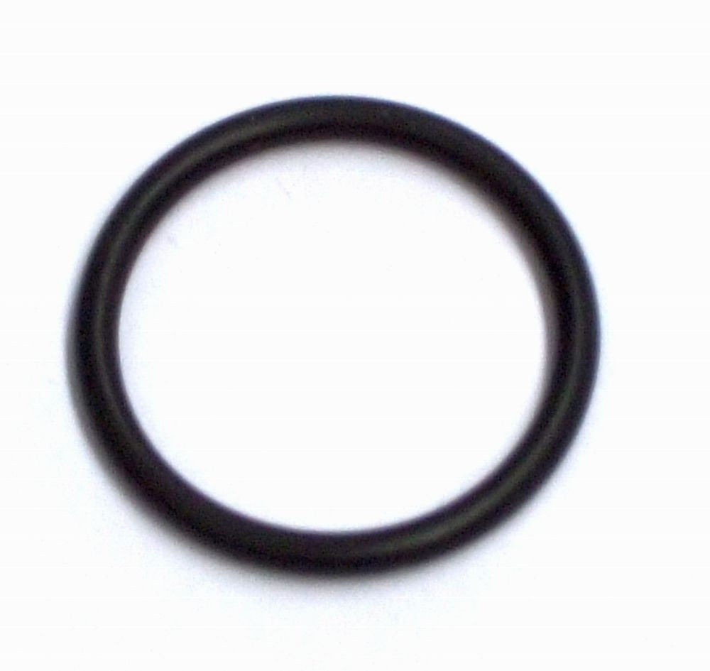 983/7_RX O-Ring D19 x 2_thermoflux_1