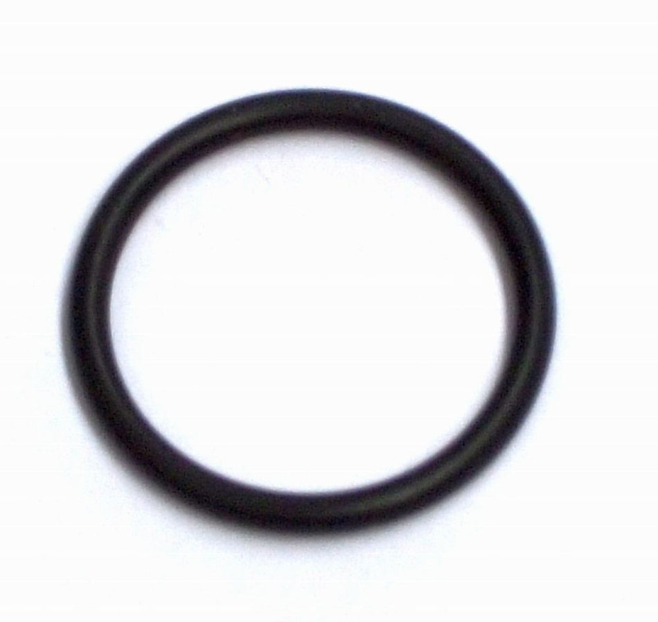 983/7_RX O-Ring D19 x 2_thermoflux_1