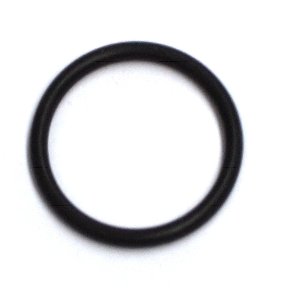 rx_o-ring_d19x2