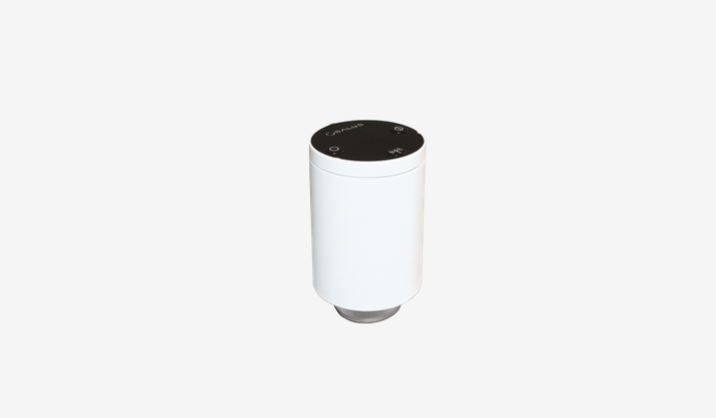 Salus TRV10RFM