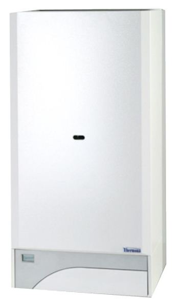 Raumluftunabhängige Gastherme Therm 20 TLX mit 9 - 20 kW DACH-SET