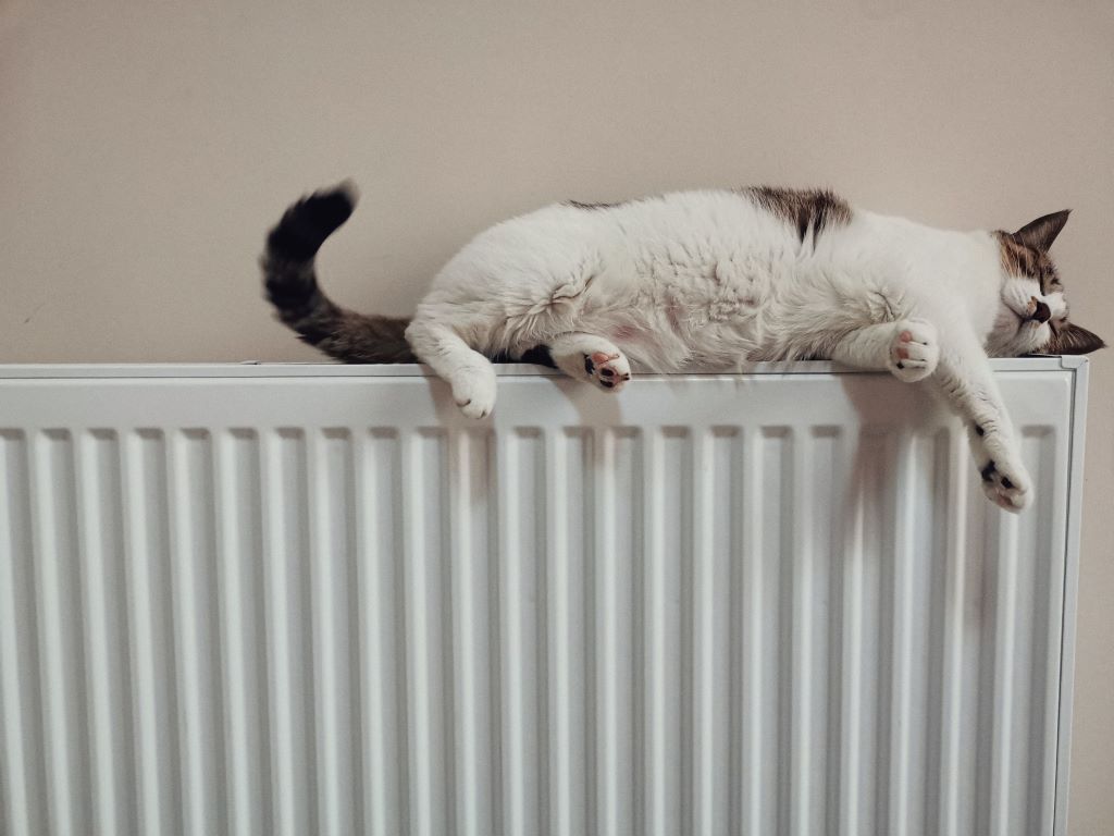 Konvektor oder Radiator - Was ist besser? | Klimaworld